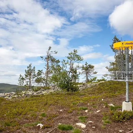 In Lapland - Sointuilevi A58