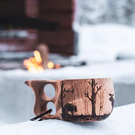 In Lapland - Sointuilevi A58 Levi