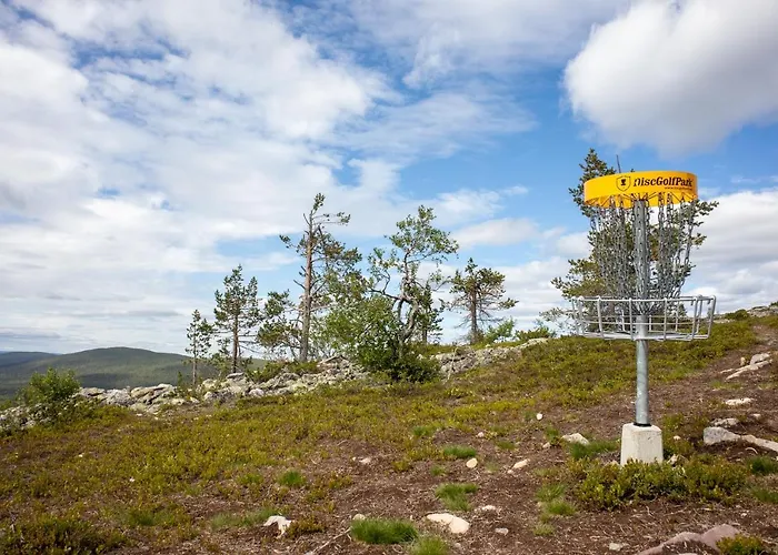 In Lapland - Sointuilevi A58